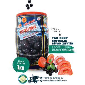 TAR-KOP Katırlı Köyü Siyah Zeytin 1kg
